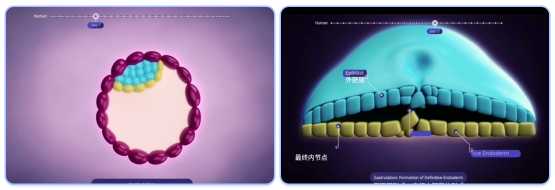 画板2.png