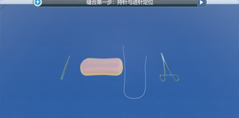 XR畜牧专业