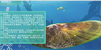 XR渔业养殖
