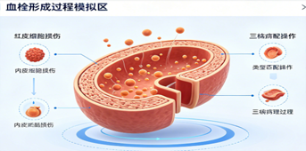 XR基础医学
