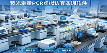 XR基础医学