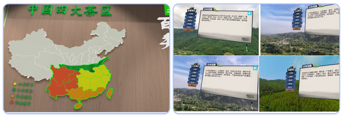 画板 1.png