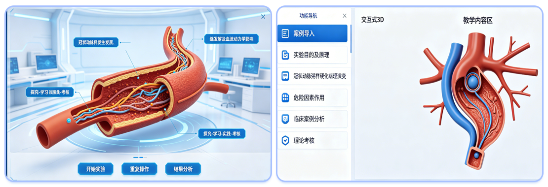 画板 6.png